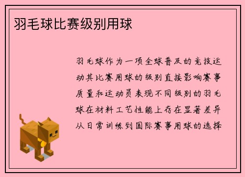 羽毛球比赛级别用球